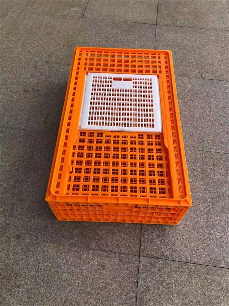 b6f128fcde2f4958766205ec8cd6bd1