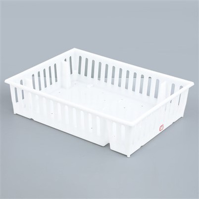 Caja de plástico para pollitos de un día