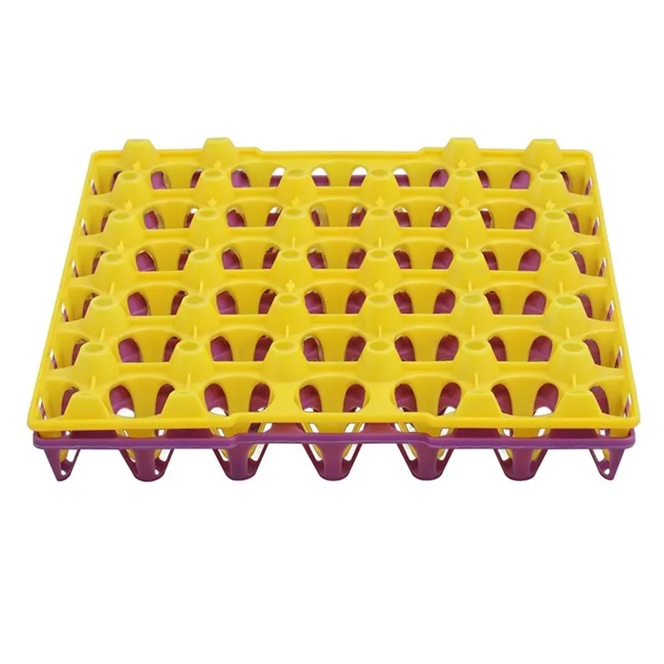 Plastic Transport Egg Tray 30 Eggs Plastic Transport Egg Tray 30 Eggs