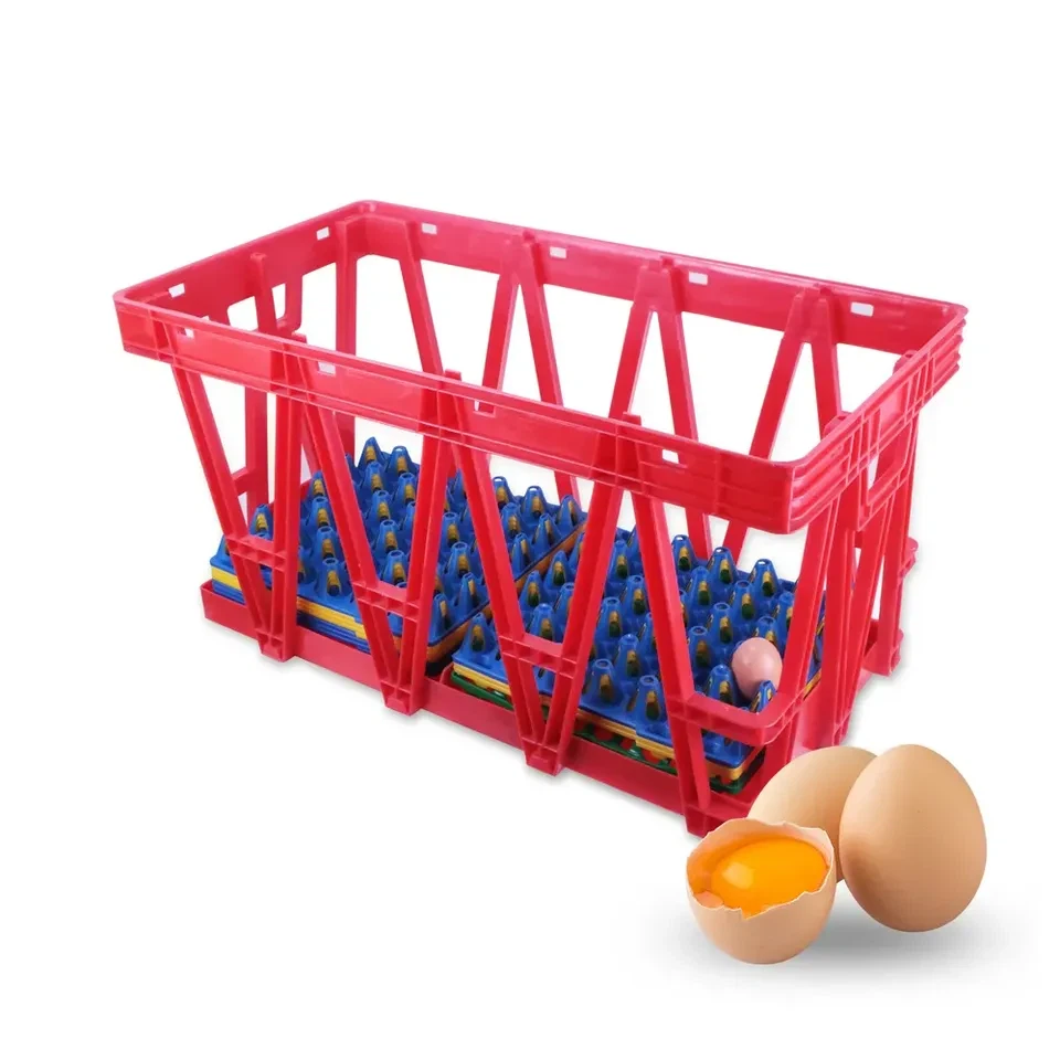 Caja de transporte de huevos de plástico