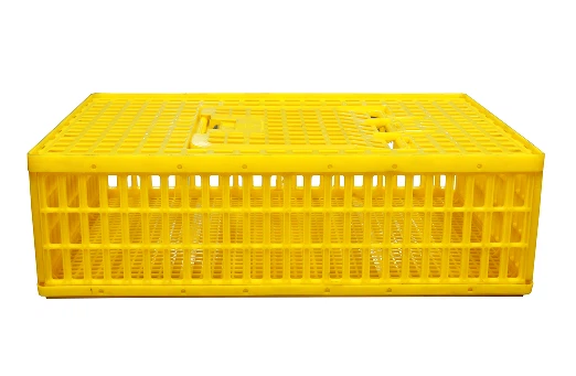 900x600x270mm Plastic Poultry Transporting Cage For Chicken