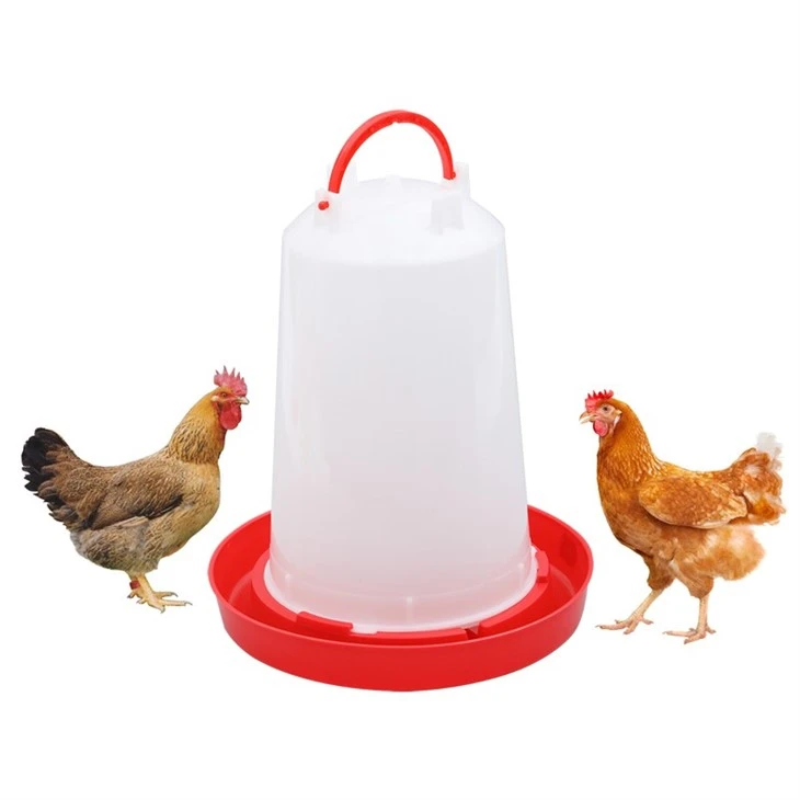 Chicken Feeding Drinker
