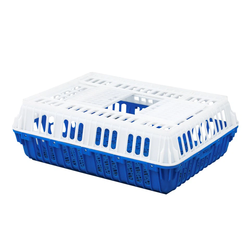 Jaula de pollo de plástico resistente