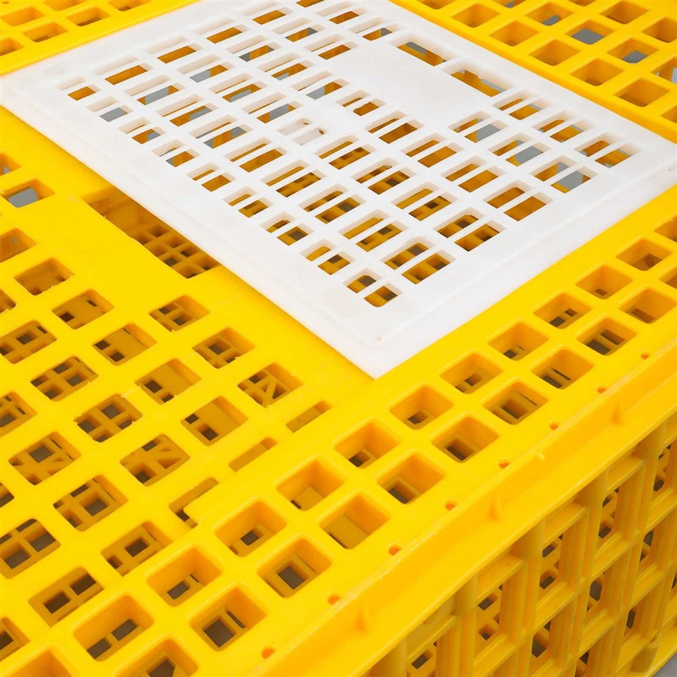 Plastic Chicken Shipping Box