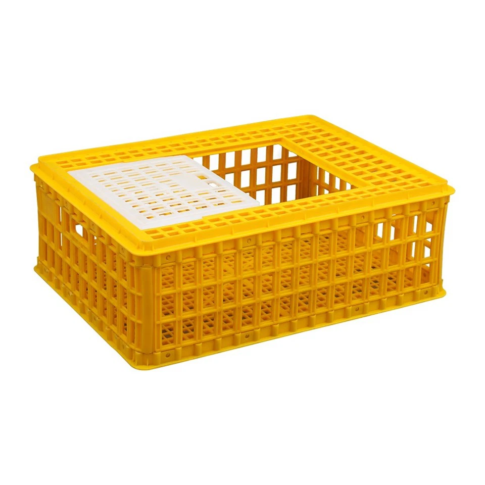Plastic Chicken Shipping Box