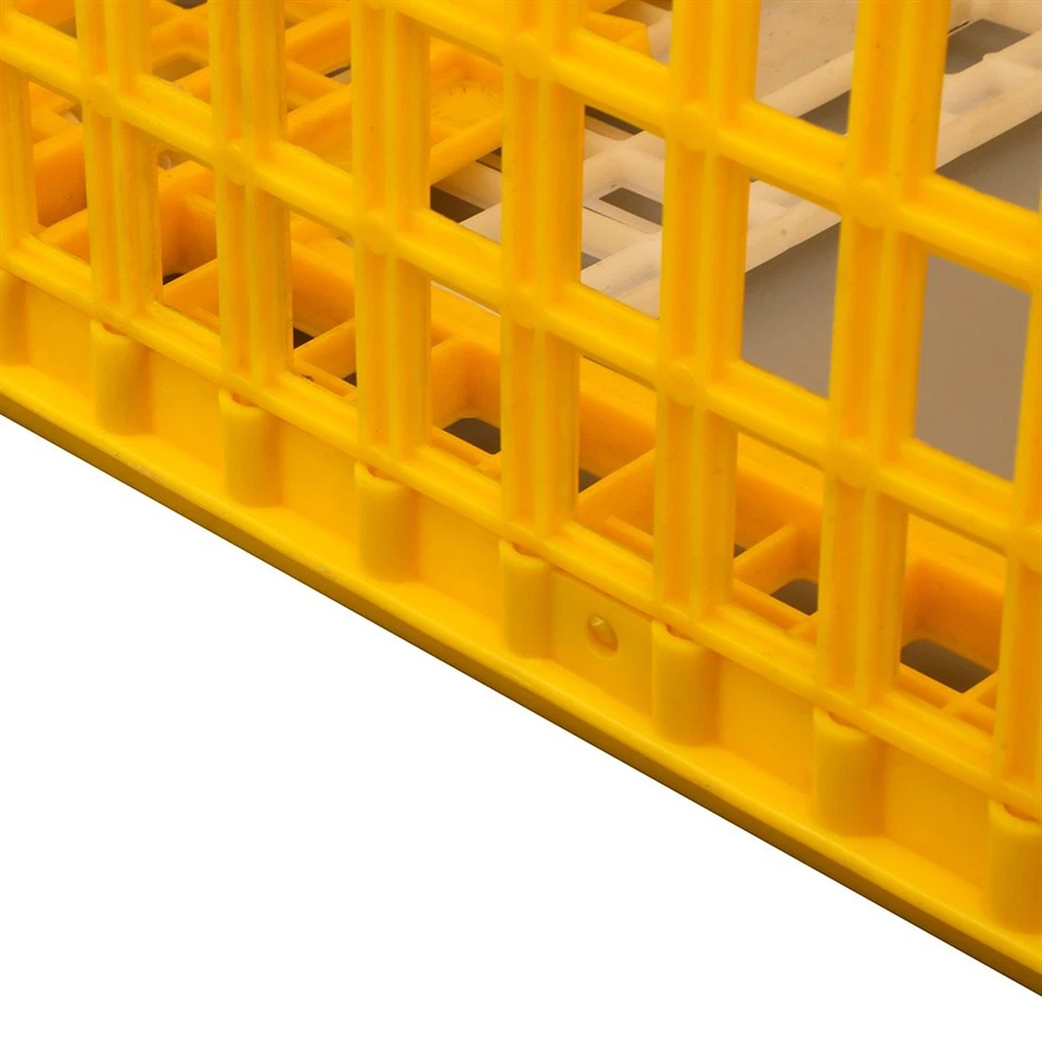 Plastic Chicken Shipping Box