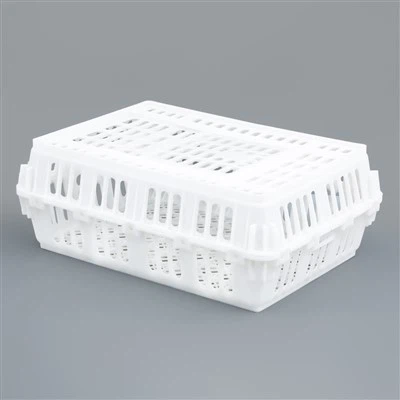 Caja de pollo de plástico desmontada