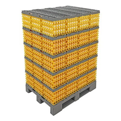 Sistema de carga de huevo 4/5/6 capas