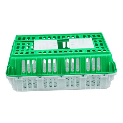 Caja de plástico para pájaros vivos