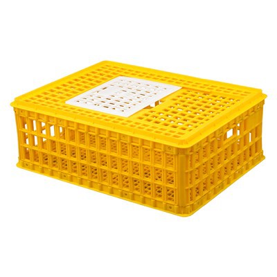 Caja de plástico para envío de pollos